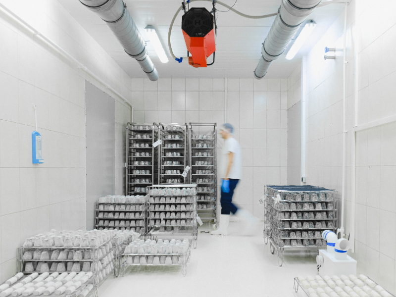 A cold storage warehouse with trays